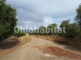 Rustic land, 36206 m², Sector Palomeres