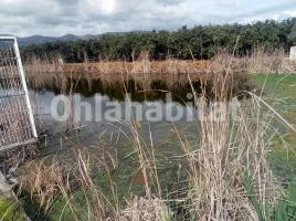 Rustic land, 4781 m²