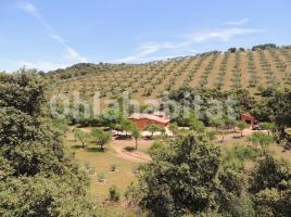 Casa (casa rural), 195 m², prop de bus i tren, seminou, VALDELOZANO