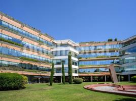 Obra nova - Pis a, 330.43 m²