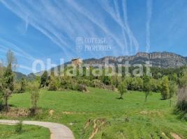 Houses (masia), 800 m², Zona