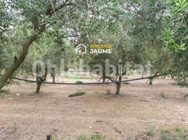 Rustic land, 30000 m², Zona