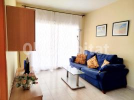 Pis, 59 m², prop de bus i tren, seminou
