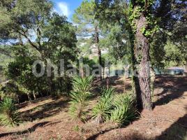 , 908 m², Calle les Heures