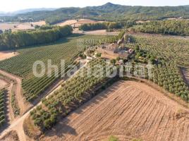  (masia), 7032 m², Zona