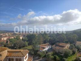 Apartament, 69 m², Avenida del Mas Ambrós