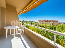 Estudio, 33 m², Calle Assutzena