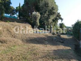 , 865 m², Calle del Carme