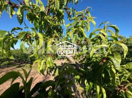 Suelo rústico, 111000 m²